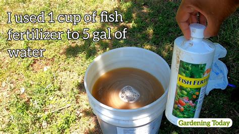 How to Use Alaska Fish Fertilizer 5.